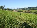 IMG_20190801_082652